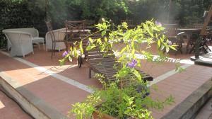 Giardino di Podere Turicchio