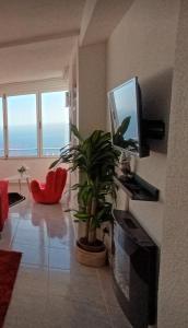 a living room with a potted plant and a television at El Espejo del Mar in Almería