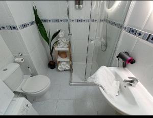 a bathroom with a shower and a toilet and a sink at El Espejo del Mar in Almería
