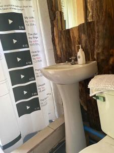 uma casa de banho com um lavatório, um WC e um espelho. em Bosques del Paico em El Monte