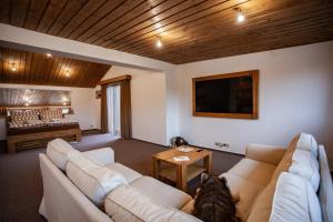 een woonkamer met een bank, een tv en een bed bij Camelot Ostrava in Radvanice +28 foto's