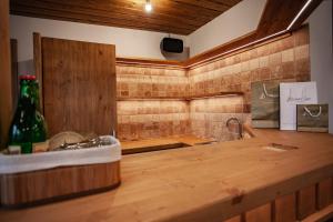 een keuken met een spoelbak en een aanrechtblad bij Camelot Ostrava in Radvanice