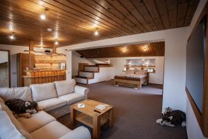 een woonkamer met een bank en een bed bij Camelot Ostrava in Radvanice