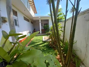 vista sul giardino di una casa con palme di The Mango House Ahangama ad Ahangama