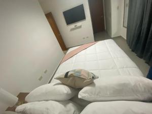 ein Krankenhauszimmer mit zwei Kissen und einem TV in der Unterkunft Residencial Mediterraneo in Santiago de los Caballeros
