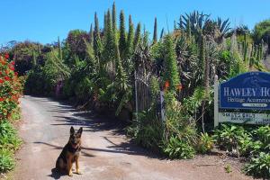 a dog sitting on a dirt road next to a sign at Hawley House in Port Sorell