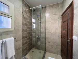 a bathroom with a shower with a glass door at Golden Gem Hotel in Cairo