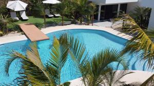 a blue swimming pool with palm trees in front of a house at One Life Villas in Playa Avellana