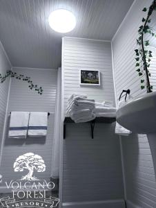 ボルケーノにあるVolcano Forest Resortのバスルーム(トイレ、洗面台、タオル付)