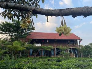 Tea Garden House في Xã Tân Phát: فرع شجرة وفيه بيت في الخلف