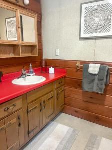 a bathroom with a sink and a red counter top at 2br Lakeside Haven Relax On Long Lake in Gleason