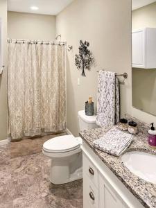 a bathroom with a toilet and a sink and a shower at Cozy 3br Downtown Bakery & Shops! in La Crosse