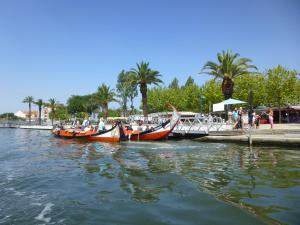 Gallery image of Casa do Sino de Aveiro in Estarreja