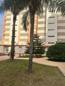 dos palmeras frente a un gran edificio en Habitacion en Piso Cerca Playa, en Alicante