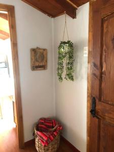 una habitación con una planta colgada de una pared en Departamento cerro de la cruz en Punta Arenas