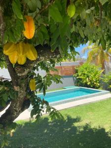 una piscina in un cortile con un albero di CASA SONHO VERDE 5 QUARTOs 3 suítes CONDOMÍNIO BEIRA-MAR a Paripueira