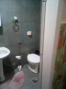 een badkamer met een toilet en een wastafel bij Pousada Barão de Santa Helena in Juiz de Fora