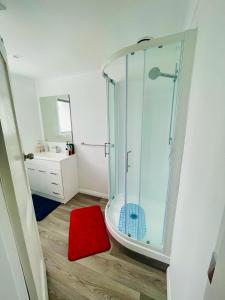 a bathroom with a glass shower and a red rug at Giggly Nest in New Plymouth