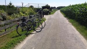 Jízda na kole v ubytování B&B Bovenweg nebo okolí