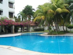 a blue swimming pool with palm trees and a building at City Tropical Home I in George Town