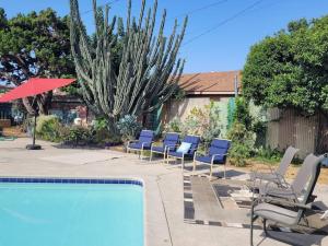 a group of chairs and a swimming pool with a cactus at Urban Farm House +Hot Tub+Pool in Long Beach