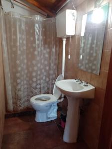 La salle de bains est pourvue de toilettes et d'un lavabo. dans l'établissement Depa centro comercial, à Villa Pehuenia