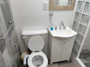 ein kleines Bad mit WC und Waschbecken in der Unterkunft Alquiler temporario. El Paraná in Paraná