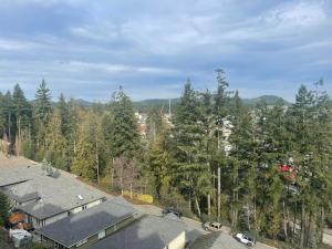 Lanskap alam di dekat homestay