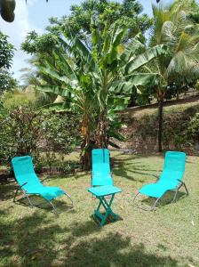 two blue chairs sitting in the grass next to a tree at l'HABITATION in Le Gosier +1 photo