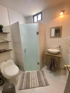 a bathroom with a toilet and a sink at Cómodo Loft Tequis. Facturamos in San Luis Potosí