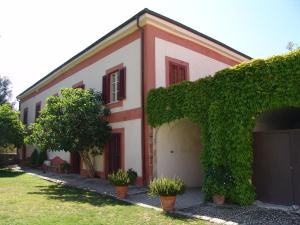 una casa con edera che cresce su un lato di essa di Masseria Rossella a Piana degli Albanesi