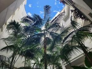 eine Palme vor einem Gebäude in der Unterkunft Apartment Beachfront Accommodation in Estepona + 10 Fotos