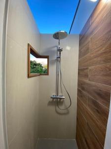 a bathroom with a shower with a skylight at Villa Indigo in Le Carbet