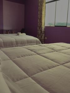 阿亞庫喬的住宿－Casa Hotel Místico，带窗户的客房内的两张床