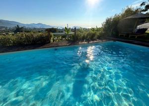 a large swimming pool with blue water at Troyan Hill Apartments in Petra