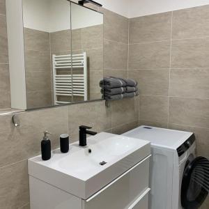 bagno con lavandino e lavatrice di Ubytování v Beskydech - Apartmán Pavel a Čeladná