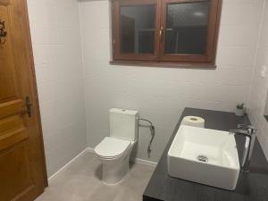 a bathroom with a white toilet and a sink at Appartement 50M² in Seltz +3 photos