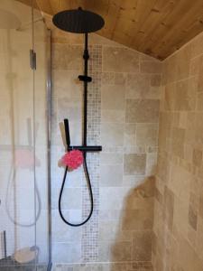 a shower in a bathroom with a pink flower at Le Nid des Cerfs in Essert-Romand