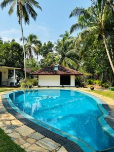 una piscina di fronte a una casa con palme di Traum Villa a Bentota