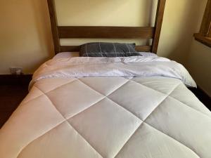 Postel nebo postele na pokoji v ubytování Mad Vervet Nairobi Backpackers Hostel