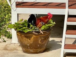a chicken standing on top of a flower pot at HomeState Bang Maprao in Ban Hin Sam Kon