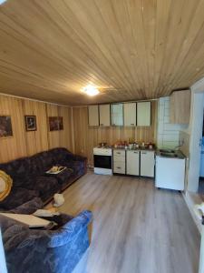ein Wohnzimmer mit einem Sofa und einer Küche in der Unterkunft Valley Tara in Plužine