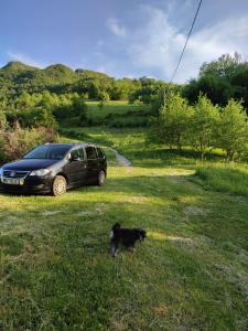 a car parked in the grass next to a dog at Valley Tara in Plužine