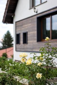 Ảnh trong thư viện ảnh của CasadinFeleacu ở Feleacu