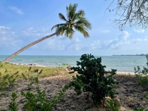 una palmera en una playa con el océano en HomeState Bang Maprao, en Ban Hin Sam Kon