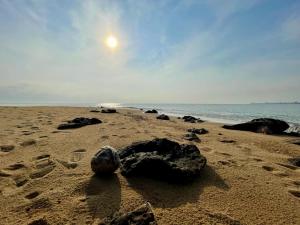 ein Felsen auf dem Sand am Strand in der Unterkunft HomeState Bang Maprao in Ban Hin Sam Kon