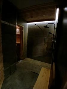 W łazience znajduje się prysznic ze szklanymi drzwiami. w obiekcie Kannikese Exclusive Guesthouse w mieście Eametsa