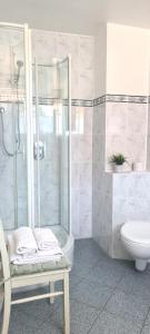uma casa de banho com um chuveiro, um WC e um lavatório. em Apartment Pusteblume mit Balkon, neu teilrenoviert em Sankt Martin