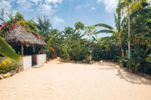 a dirt road leading to a house with a straw roof at Bukoba Villas - Lily - Private Pool, AC & Wi-Fi in Nungwi