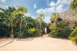 a dirt road in front of a house with trees at Bukoba Villas - Lily - Private Pool, AC & Wi-Fi in Nungwi